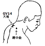 GV14 大椎